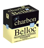 Charbon De Belloc 125 Mg Caps Molle B/60 à FONTENAY-TRESIGNY
